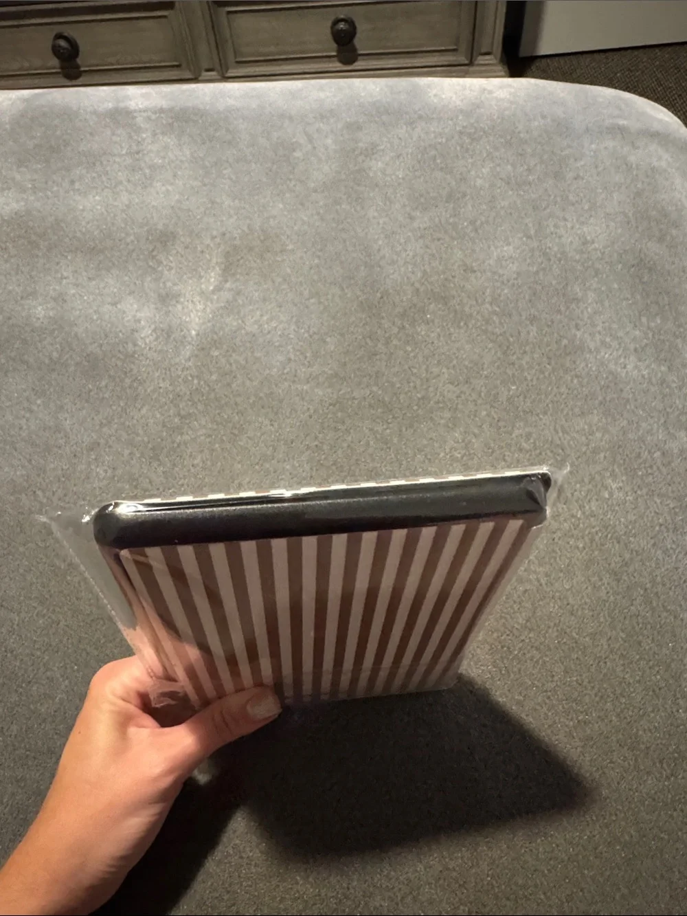 NWT Left On Read Kindle Paperwhite 11th Gen Case in Striped Brown